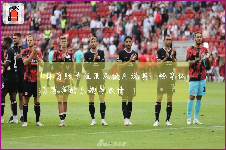 b体育账号注册及使用说明，畅享体育赛事的乐趣与激情
