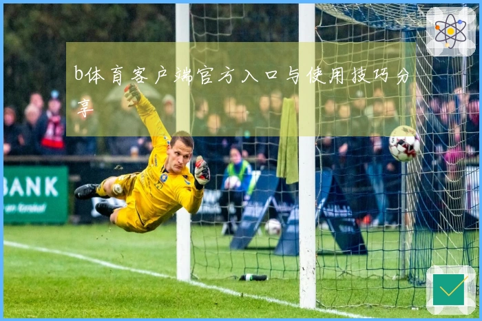 b体育客户端官方入口与使用技巧分享