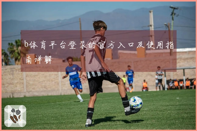 b体育平台登录的官方入口及使用指南详解