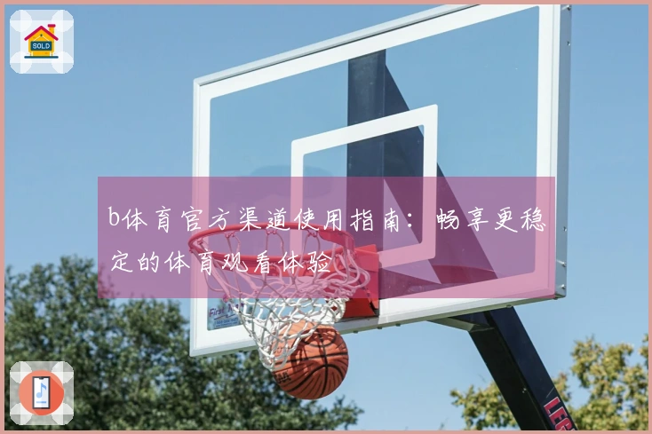 b体育官方渠道使用指南：畅享更稳定的体育观看体验