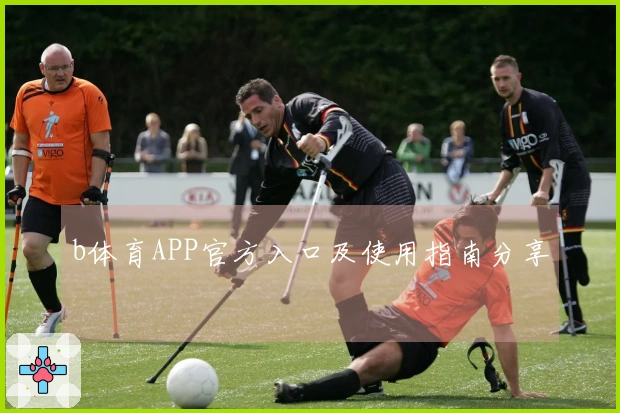 b体育APP官方入口及使用指南分享