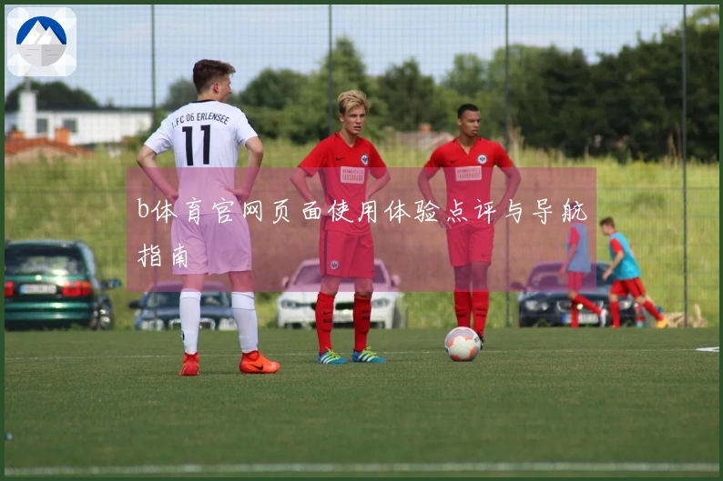 b体育官网页面使用体验点评与导航指南