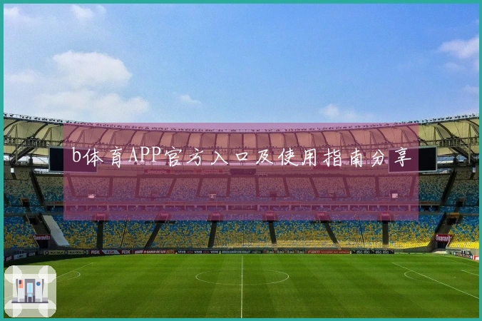 b体育APP官方入口及使用指南分享