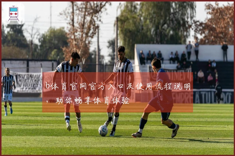 b体育官网官方入口及使用流程说明，助你畅享体育体验