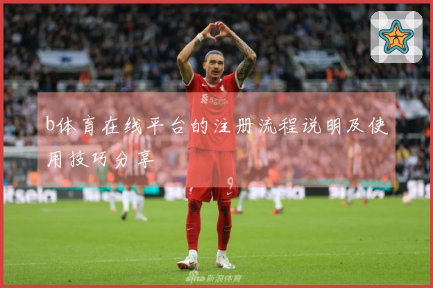 b体育在线平台的注册流程说明及使用技巧分享