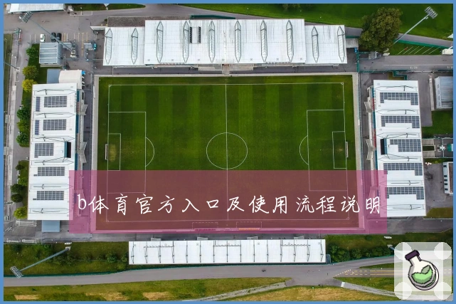 b体育官方入口及使用流程说明